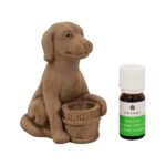 Sauna dog & Eucalyptus 10 ml